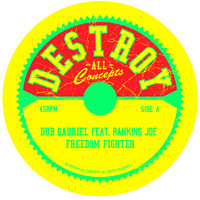 Freedom Fighter (feat. Ranking Joe) - Dub Gabriel & Ranking Joe