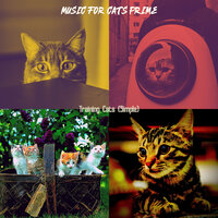 Chilled (Music) - Music for Cats Prime