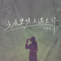 多希望晚点遇见你 - 向思思