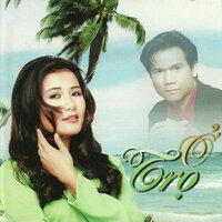 Đôi mắt người xưa - Trường Vũ