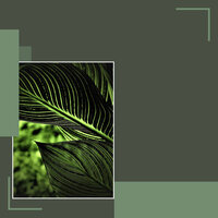 Fun Jazz Saxophone - Vibe for Chill Afternoons - Paris Cafe Jazz