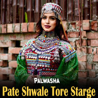 Che Zwani We Aw Peghaltob We - Palwasha