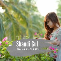 Pa Yuwa Liri Safar Da - Shandi Gul