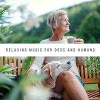 Music for Dogs to Go to Sleep - Dog Bedtime