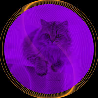 Spacious Music for Cozy Kittens - Music for Resting Cats