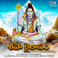 Shambho Mahesa - Parupalli Sri Ranganath