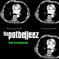 Never Let You Go - The Potbelleez