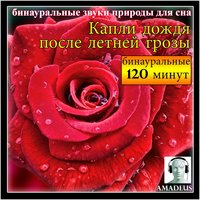 Binaural Natural Sounds for Sleep: Raindrops After a Summer Storm - Amadeus