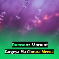 Zargeya Ma Ghwara Meena - Damsaaz Marwat