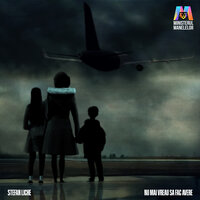 Nu mai vreau să fac avere - Stefan Liche & Ministerul Manelelor