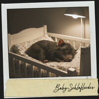 Bezaubernde Regensonate - Ruido Blanco Hart & Canciones Para Bebés Y Música Para Bebé & Schlafmusik