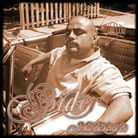 Putting It Down - SPIDER