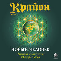 Буква E – ENLIGHTENMENT ( Просветление) - Роман Рассказов