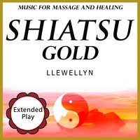 The Healing Pool - Llewellyn