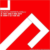 Not Only One Day - Burak Harsitlioglu