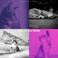 Caring (Sleeping Cats) - Music for Cats Society