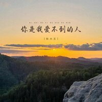 你是我爱不到的人 - 彤大王