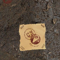 Kallion kirkko - Heikki Kuula