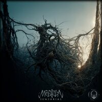 Pullulate - Zazen & Medjula