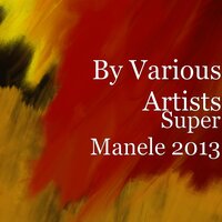 E Jale Cu Gagicile - Nicolae Guta & N.E.K