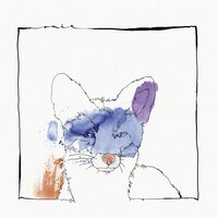 Inhale - Nico Stojan