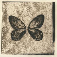 День Победы - РИЧ