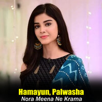 Da Shaisto Kali De Wran She - Hamayun & Palwasha