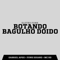 Botando Bagulho Doido - GABRIEL APGO & FUNK GOIANO & MC RD