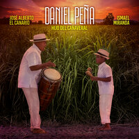 Hijo Del Cañaveral - Daniel Peña & Ismael Miranda & Jose Alberto El Canario