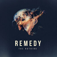 You Need To Know - Remedy