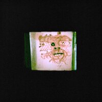 Gin Soaked Boy - Chris Orrick & The Lasso