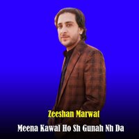 Meena Kawal Ho Sh Gunah Nh Da - Zeeshan Marwat