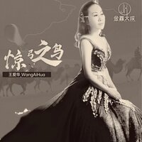 惊弓之鸟 - 王爱华