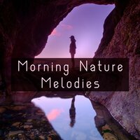 Up Birds - The Calming Sounds of Nature
