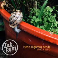 Mağusa Limanı - Zakkum