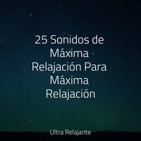 El Verdadero Ambiente - El hada de las canciones de cuna & Musica Para Dormir y Sonidos de la Naturaleza & Música Zen Relaxante