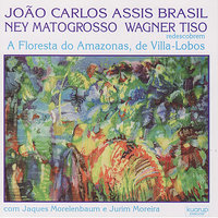 Improviso - Final - João Carlos Assis Brasil & Wagner Tiso