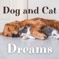 Peaceful Pet Music - Jazz Music for Cats & Jazz Music for Dogs & Jazz Pets Relax