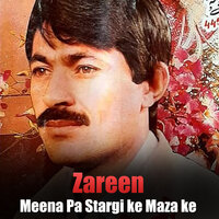 Yar Me Pa Bal Watan - Zareen