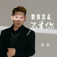 要我怎么不爱你 - 莺歌