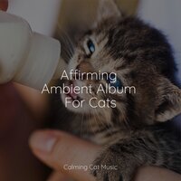 Ambient Noise - Music For Cats & Cat Music Experience & Cats Music Zone