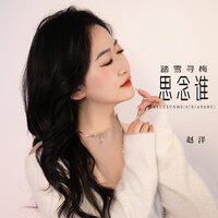 踏雪寻梅思念谁 - 赵洋