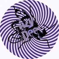 Break Away - William Medagli & Thallulah