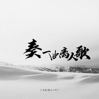 奏一曲离人歌 - 王佳 & 战小二吖
