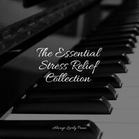 Blissful Breeze - Piano Relaxation Maestro & Anti Stress & Piano Bar Music Specialists