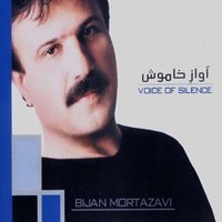 I Won't Loose - Bijan Mortazavi