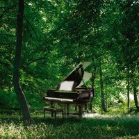 Releasing - Jeff Newmann