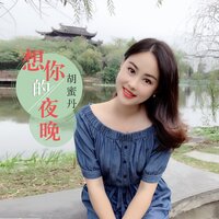 想你的夜晚 - 胡蜜丹