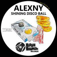 Shining Disco Ball - Alexny