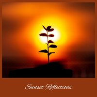 Evening Reverie - Eternal Health